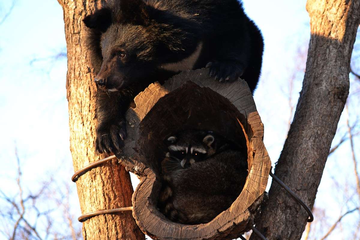 ������ ����� �����  �� PhotoGeek.ru #�������� ���