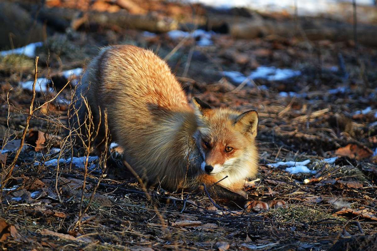 ����������� ����� �����  �� PhotoGeek.ru #�������� ���