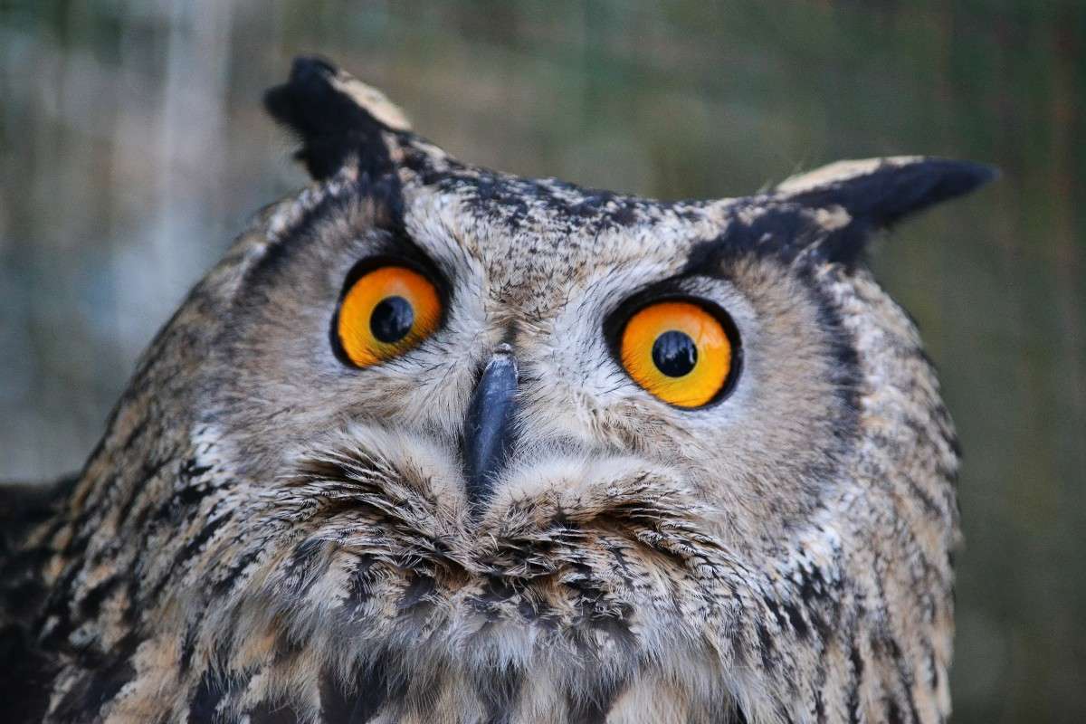 ... ����� �����  �� PhotoGeek.ru #�������� ���