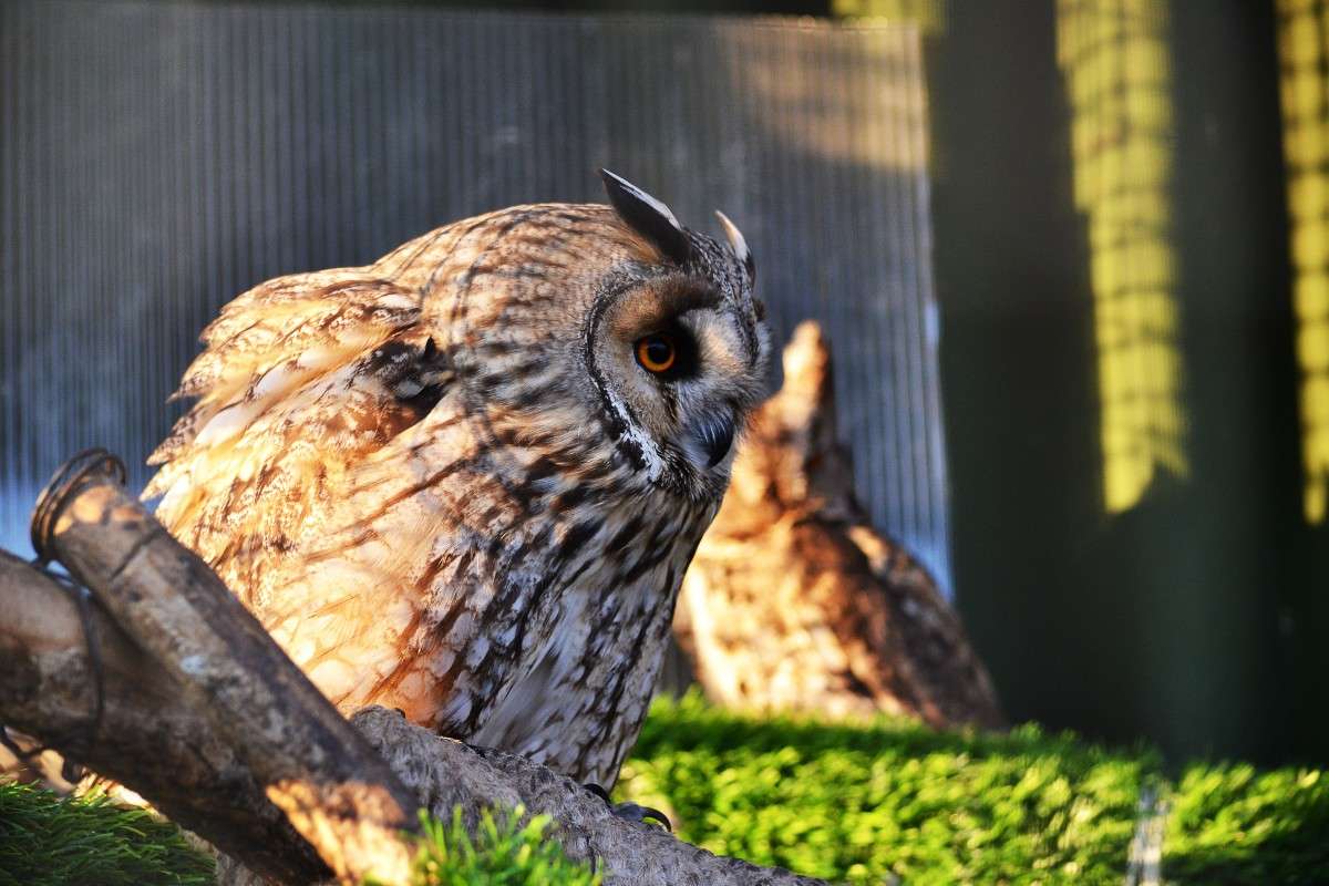 ... ����� �����  �� PhotoGeek.ru #�������� ���