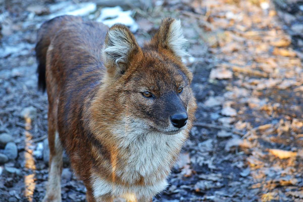 ... ����� �����  �� PhotoGeek.ru #�������� ���