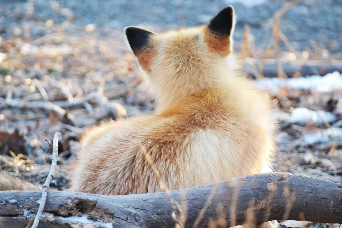 ... ����� �����  �� PhotoGeek.ru #�������� ���