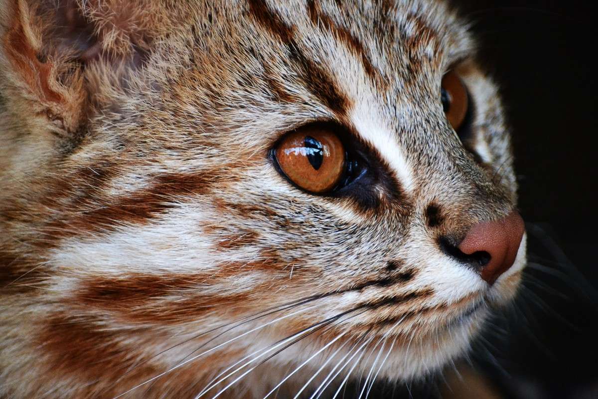 ... ����� �����  �� PhotoGeek.ru #�������� ���