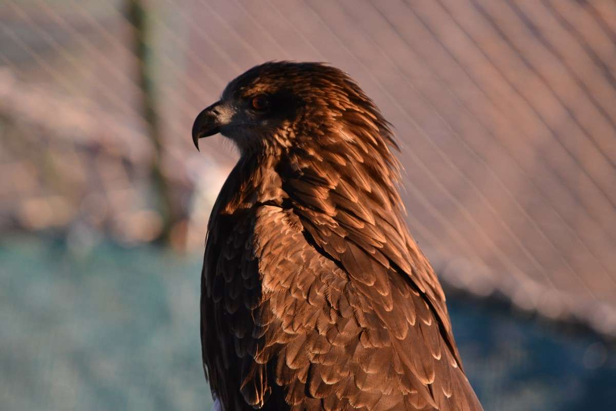 ... ����� �����  �� PhotoGeek.ru #�������� ���