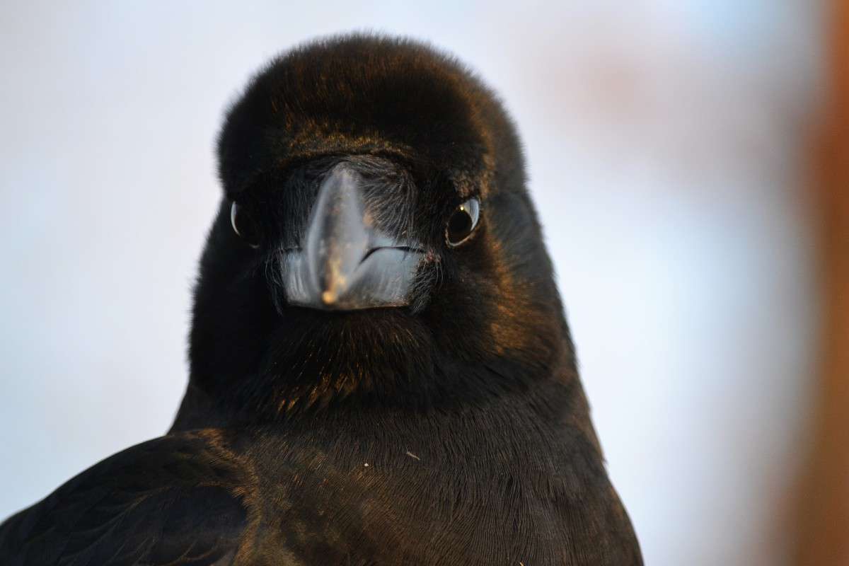 ������������ ����� ����� �����  �� PhotoGeek.ru #�������� ���