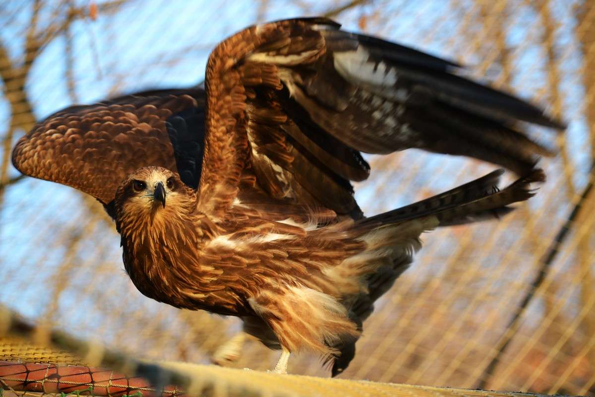 ... ����� �����  �� PhotoGeek.ru #�������� ���