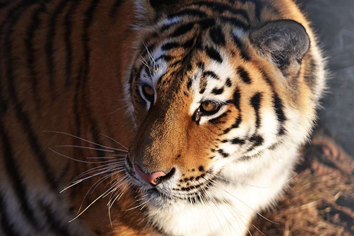 �����) ����� �����  �� PhotoGeek.ru #�������� ���