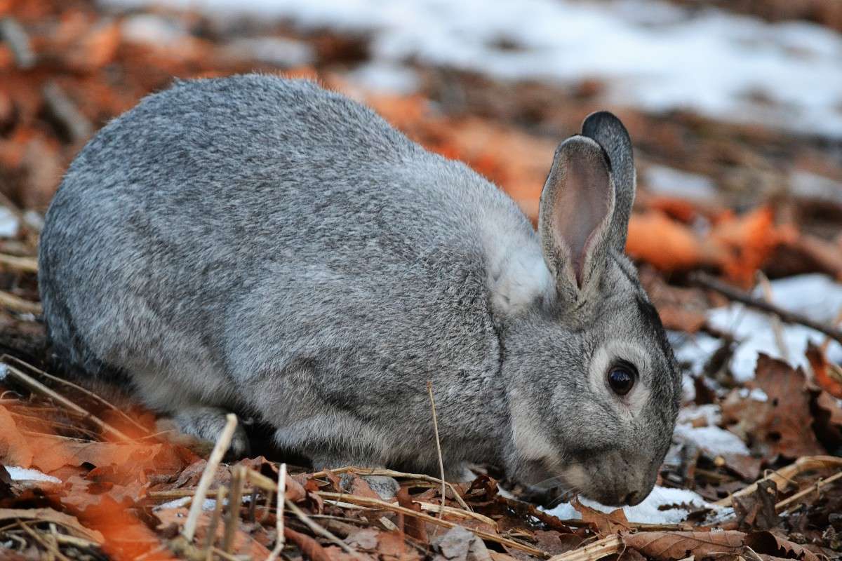 ... ����� �����  �� PhotoGeek.ru #�������� ���