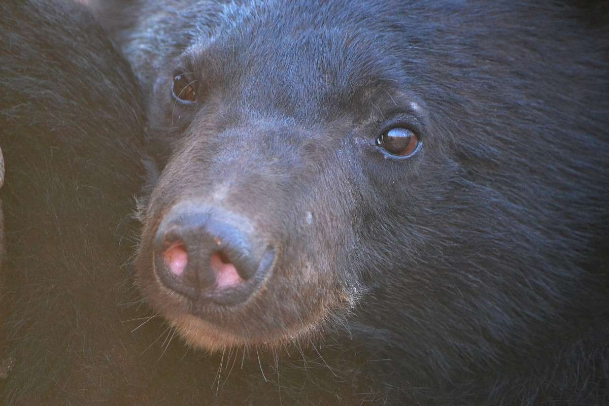 ... ����� �����  �� PhotoGeek.ru #�������