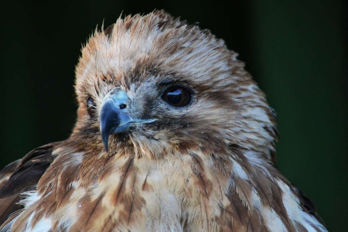 ... ����� �����  �� PhotoGeek.ru #�������� ��� #�������