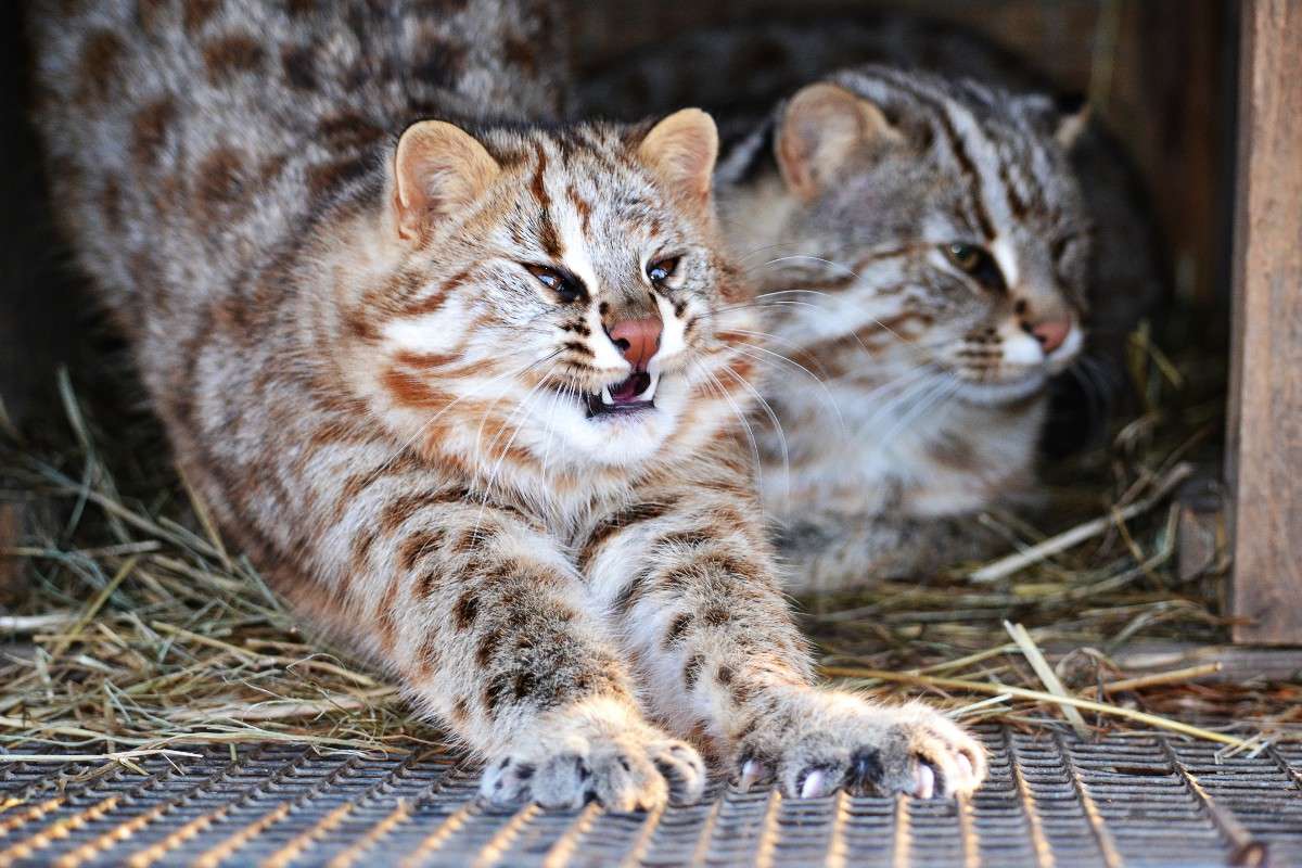 ... ����� �����  �� PhotoGeek.ru #�������� ���