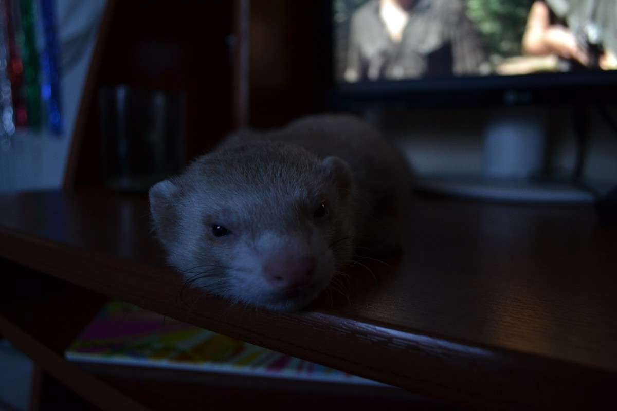 ������) ����� �����  �� PhotoGeek.ru #�������� ���