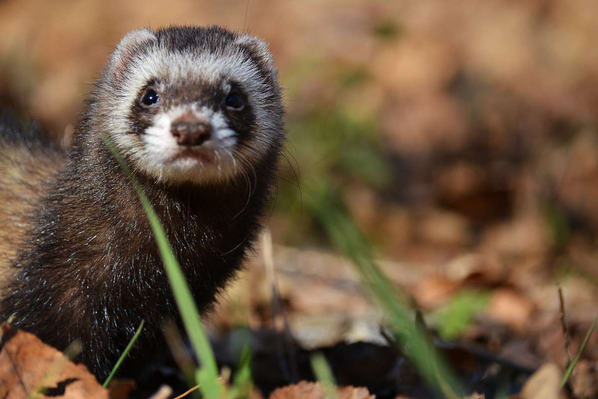 ... ����� �����  �� PhotoGeek.ru #�������� ���