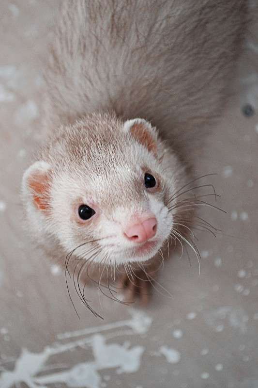 ������ ����� �����  �� PhotoGeek.ru #�������� ���