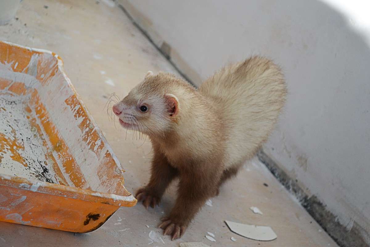 ����� ���������) ����� �����  �� PhotoGeek.ru #�������� ���