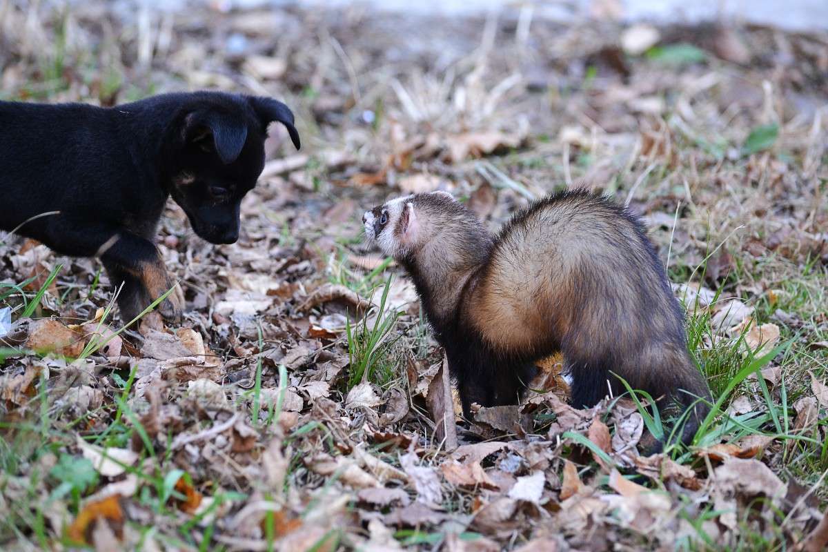 ... ����� �����  �� PhotoGeek.ru #�������� ���