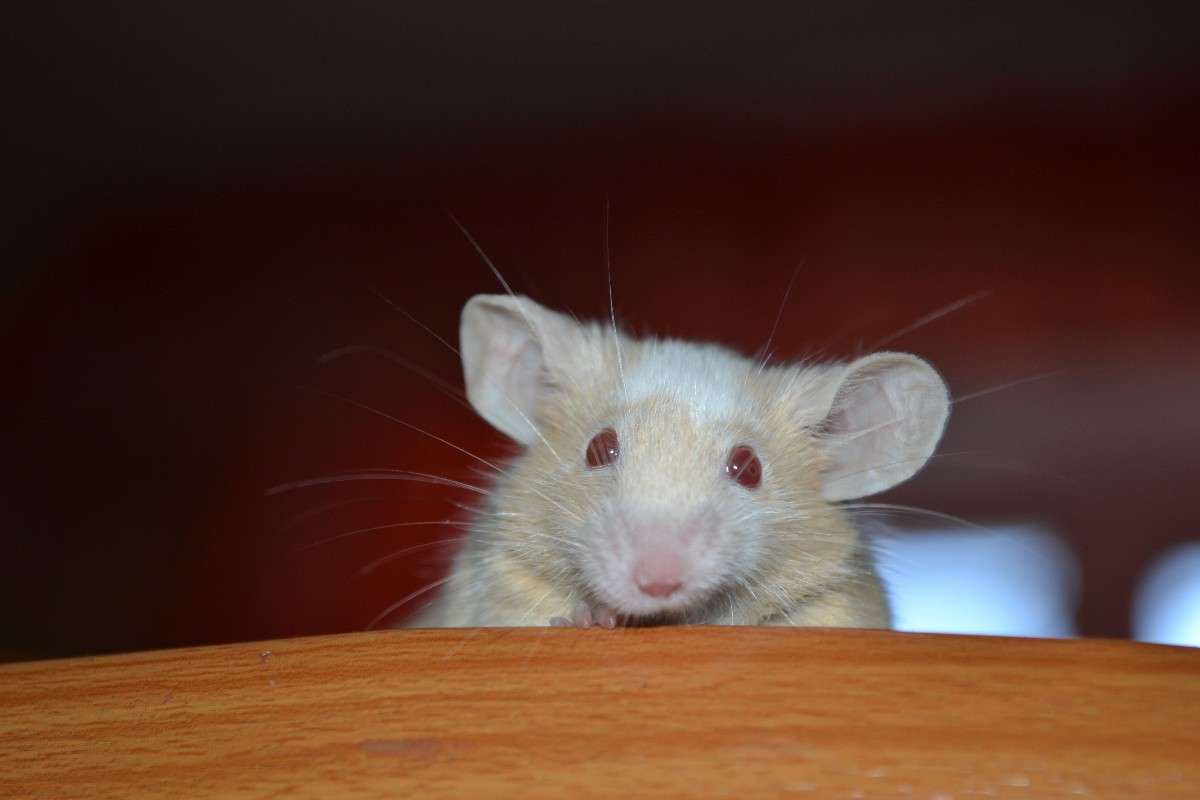 �����) ����� �����  �� PhotoGeek.ru #�������� ���