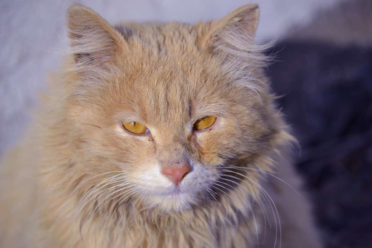 ... ����� �����  �� PhotoGeek.ru #�������� ���