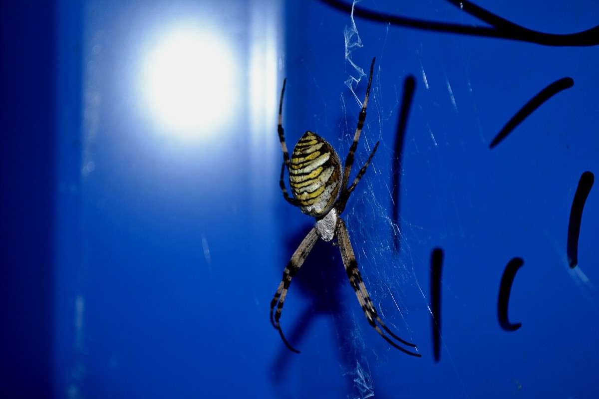 ... ����� �����  �� PhotoGeek.ru #�������� ���