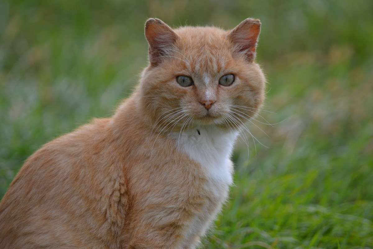 ... ����� �����  �� PhotoGeek.ru #�������� ���