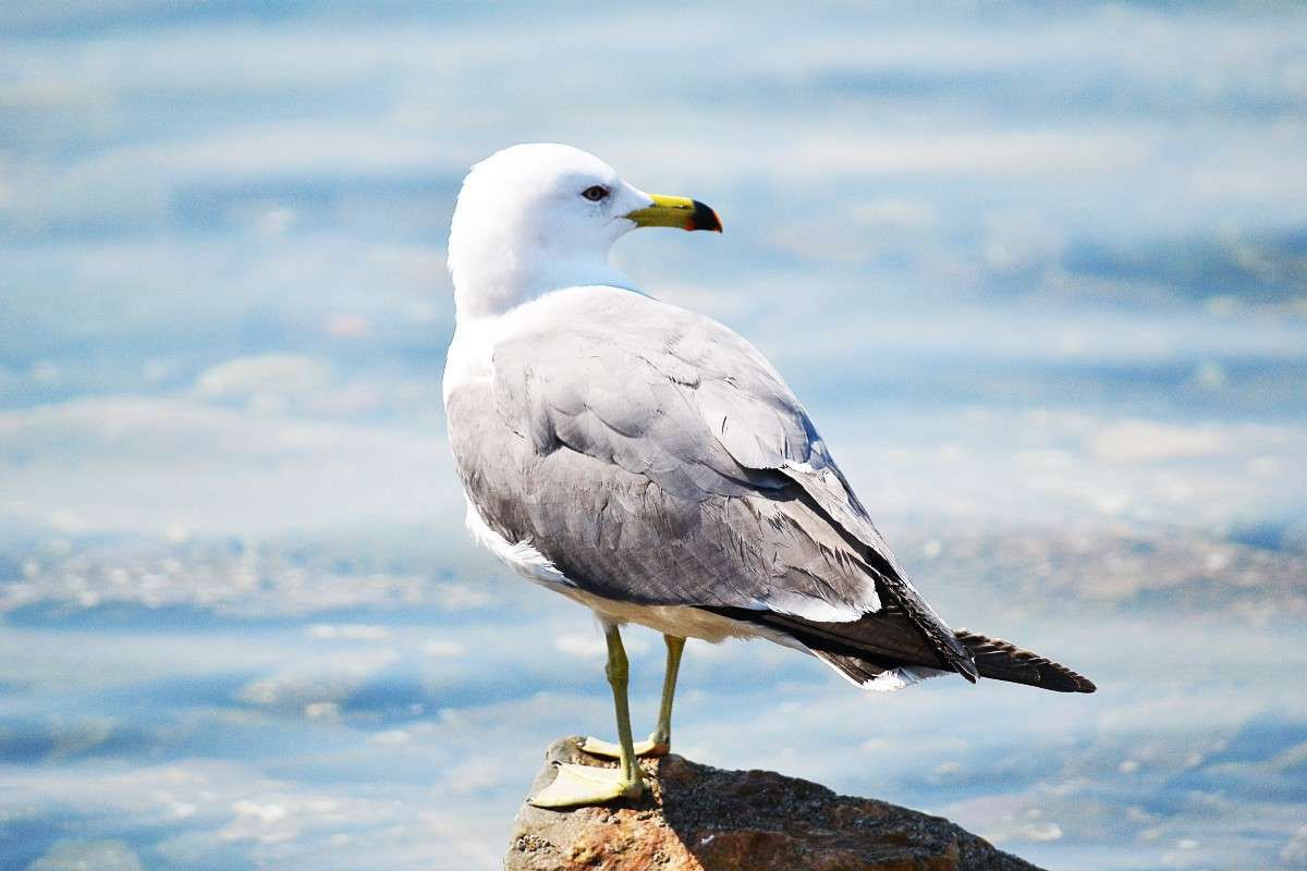 ... ����� �����  �� PhotoGeek.ru #�������� ���