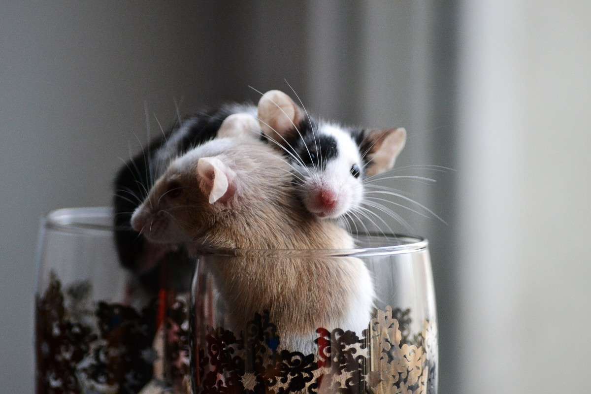 ���� � �����) ����� �����  �� PhotoGeek.ru #�������� ���