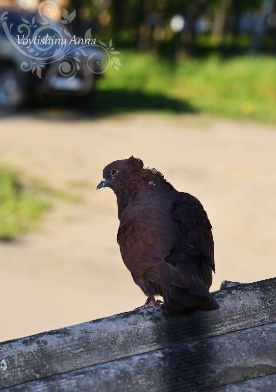 ... ����� �����  �� PhotoGeek.ru #�������� ���