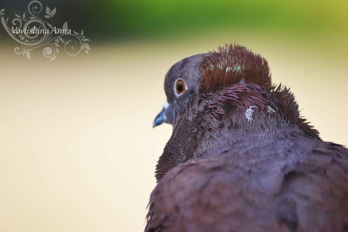 ... ����� �����  �� PhotoGeek.ru #�������� ���