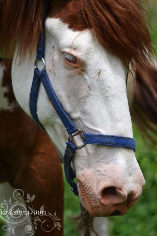 ... ����� �����  �� PhotoGeek.ru #�������� ���