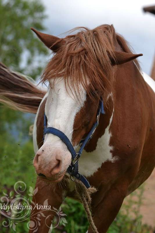 ... ����� �����  �� PhotoGeek.ru #�������� ���