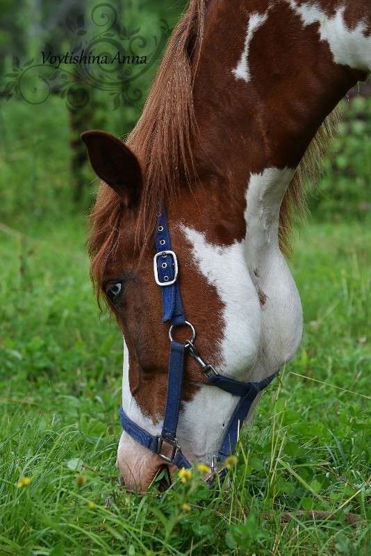 ... ����� �����  �� PhotoGeek.ru #�������� ���