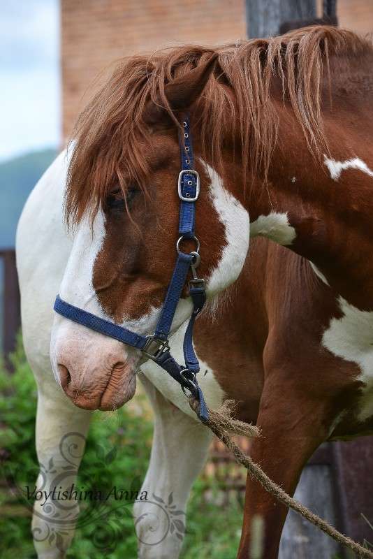 ... ����� �����  �� PhotoGeek.ru #�������� ���