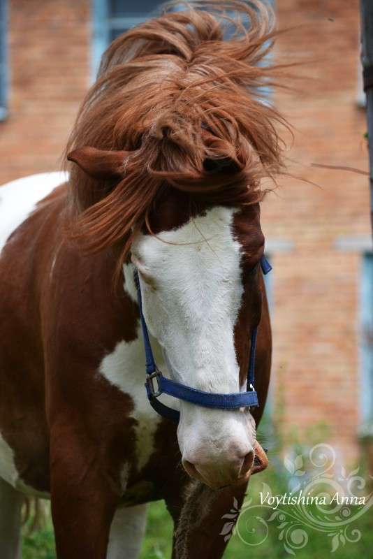 ... ����� �����  �� PhotoGeek.ru #�������� ���