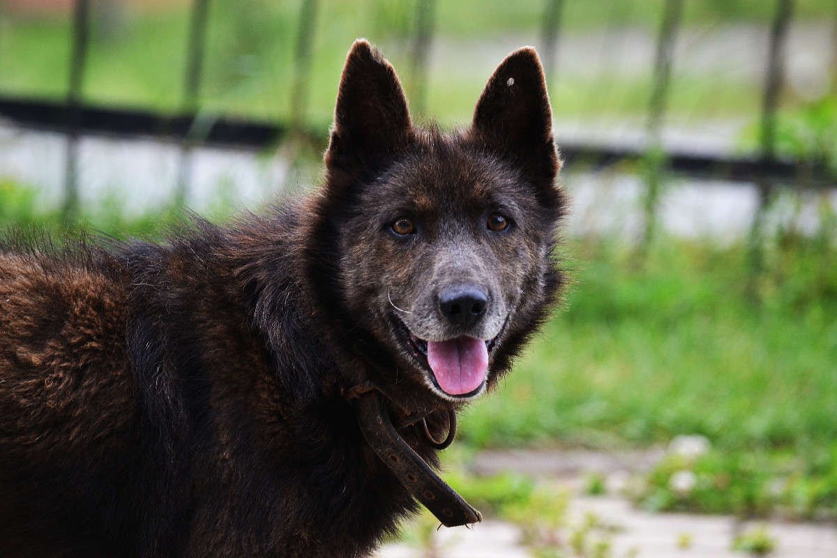 ... ����� �����  �� PhotoGeek.ru #�������� ���