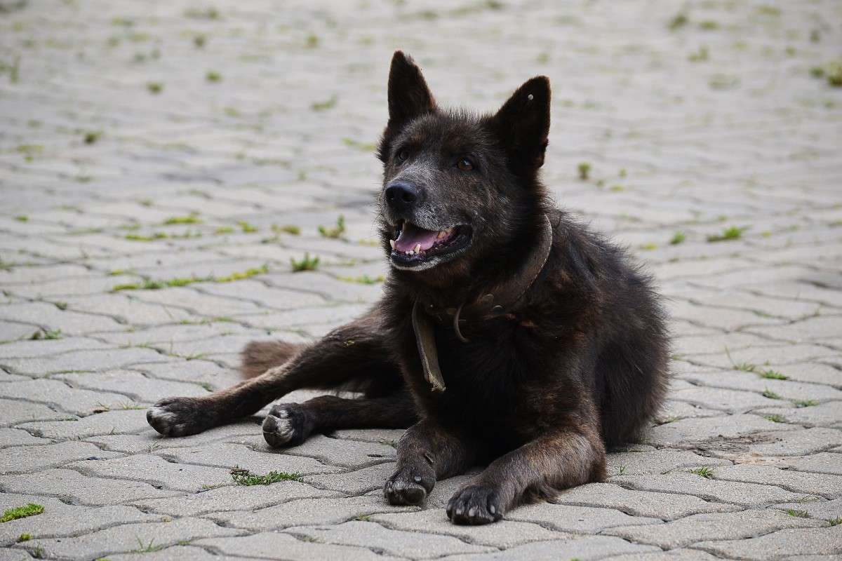 ... ����� �����  �� PhotoGeek.ru #�������� ���