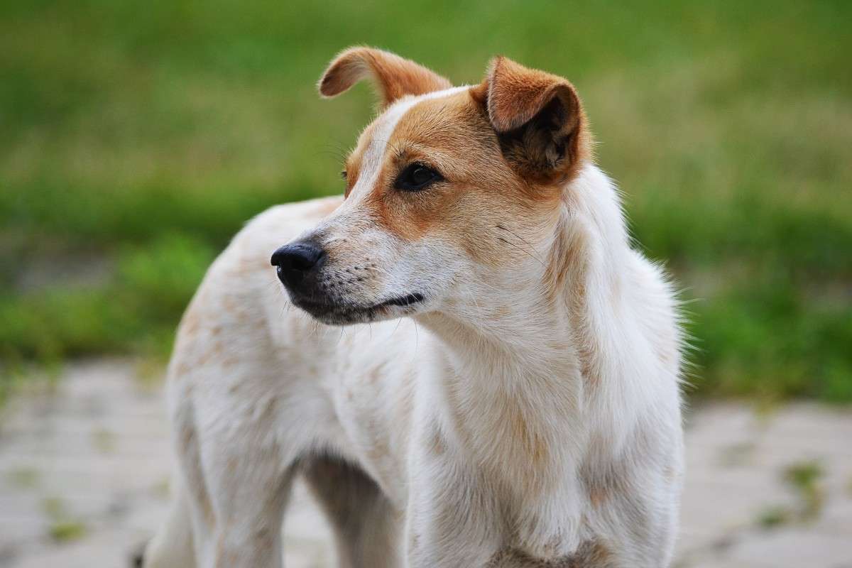 ... ����� �����  �� PhotoGeek.ru #�������� ���