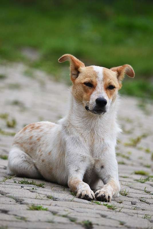 ... ����� �����  �� PhotoGeek.ru #�������� ���