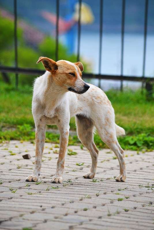 ... ����� �����  �� PhotoGeek.ru #�������� ���