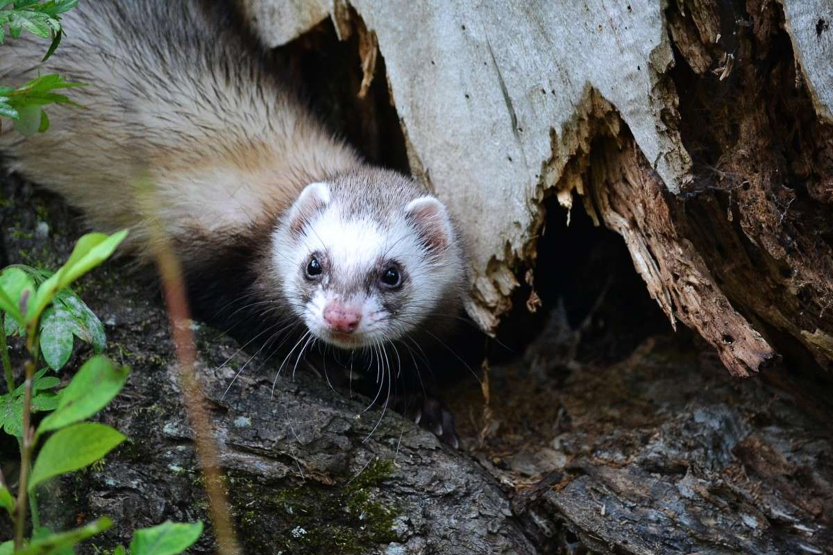 ... ����� �����  �� PhotoGeek.ru #�������� ���