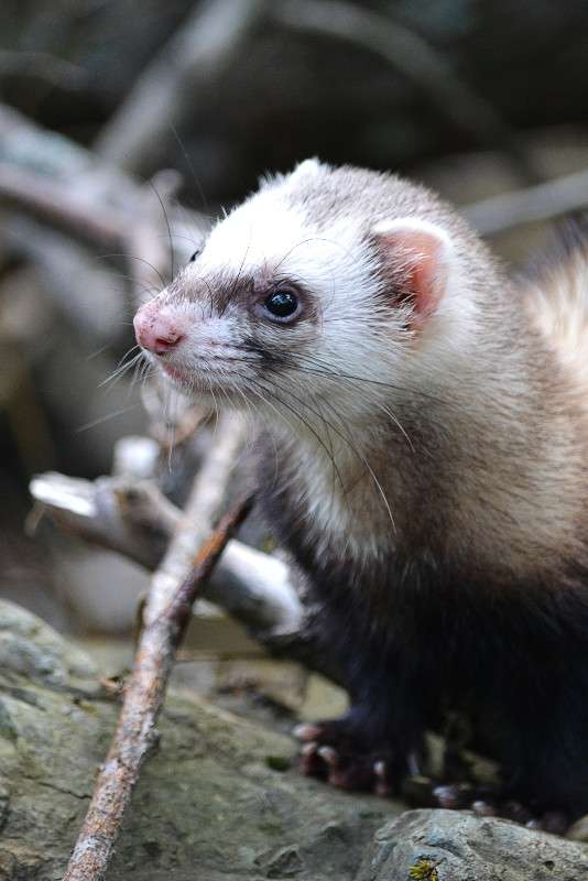 ... ����� �����  �� PhotoGeek.ru #�������� ���