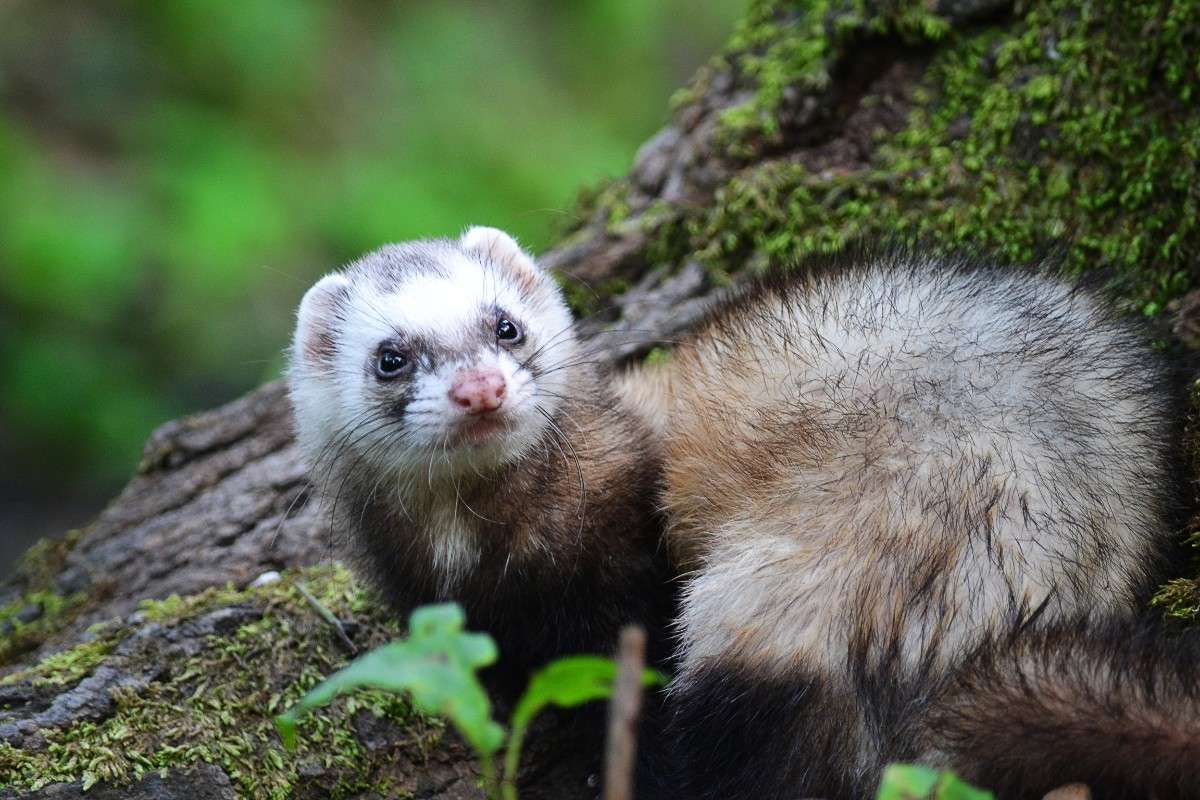 ... ����� �����  �� PhotoGeek.ru #�������� ���