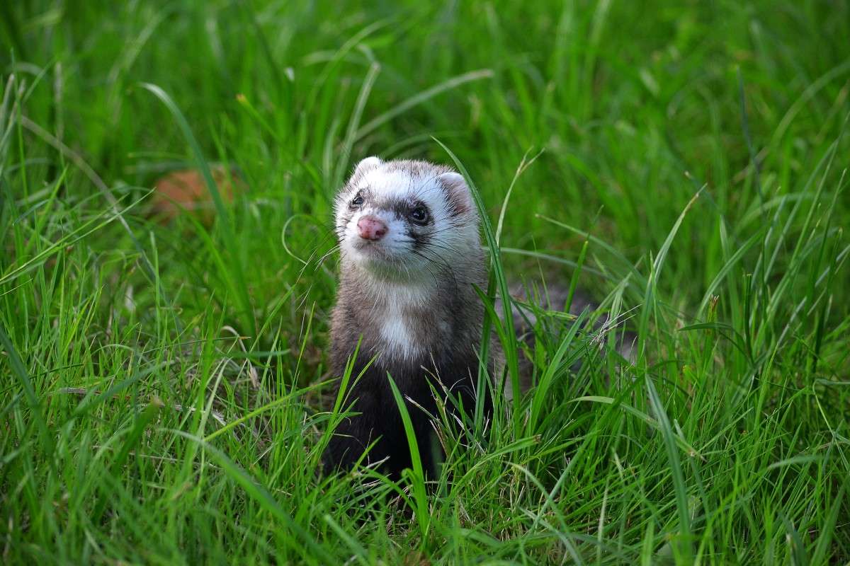 ����� ����� �����  �� PhotoGeek.ru #�������� ���