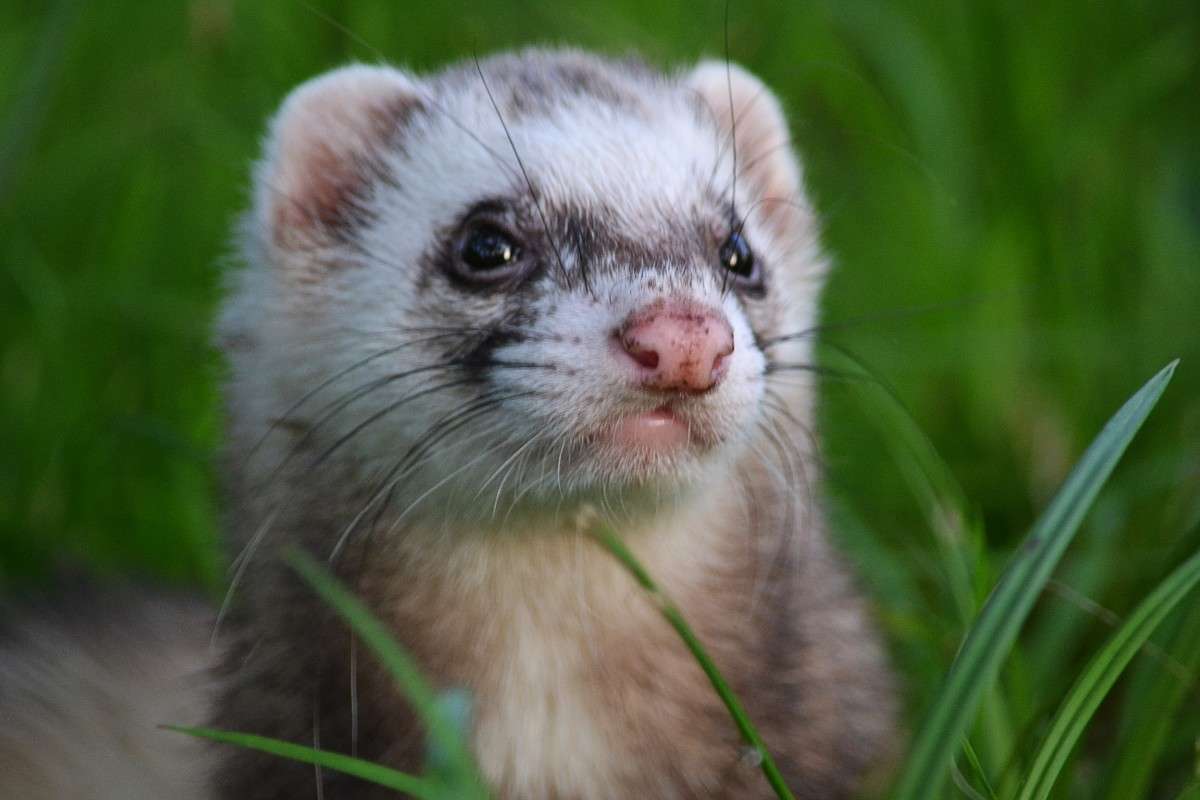 ����� ����� �����  �� PhotoGeek.ru #�������� ���