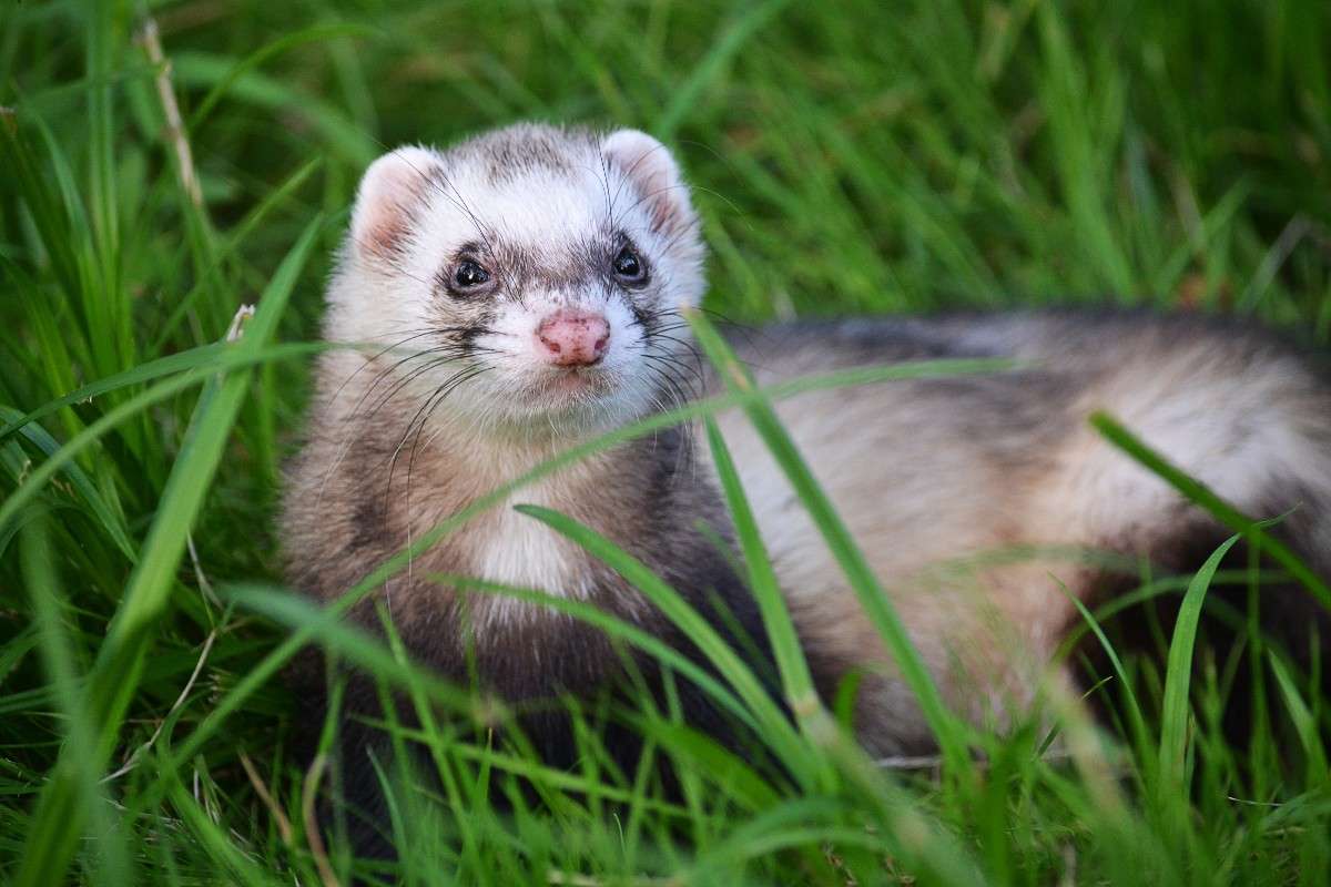 ����� ����� �����  �� PhotoGeek.ru #�������� ���