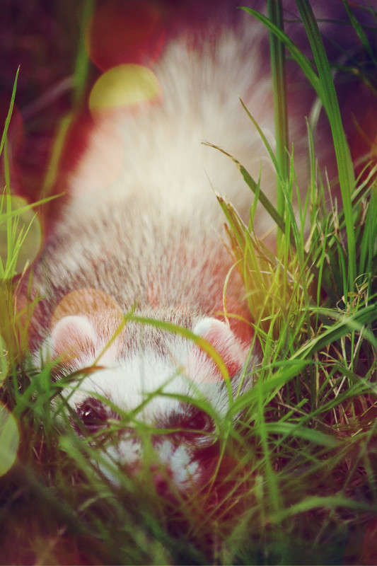 ������ ����� �����  �� PhotoGeek.ru #�������� ���