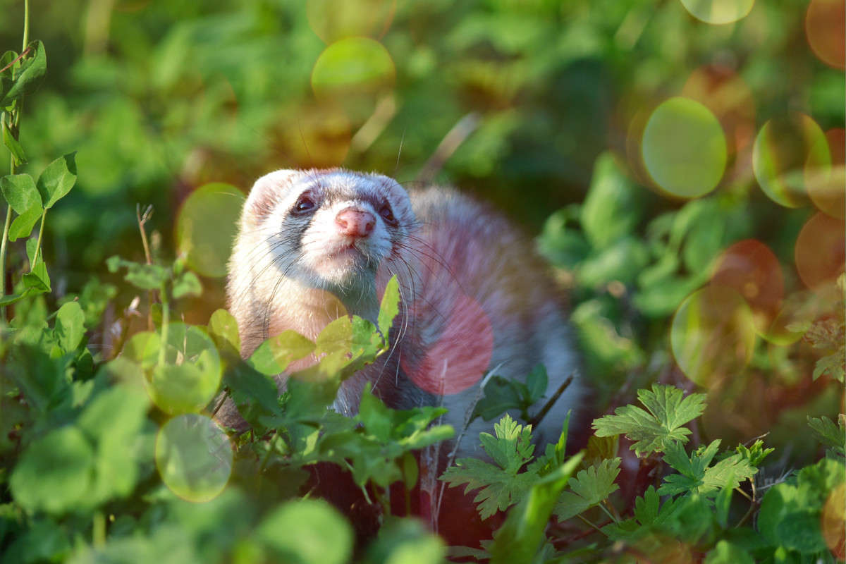 ... ����� �����  �� PhotoGeek.ru #�������� ���