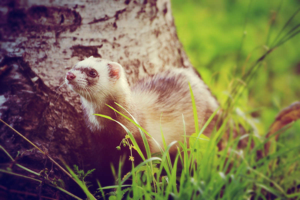 ... ����� �����  �� PhotoGeek.ru #�������� ���