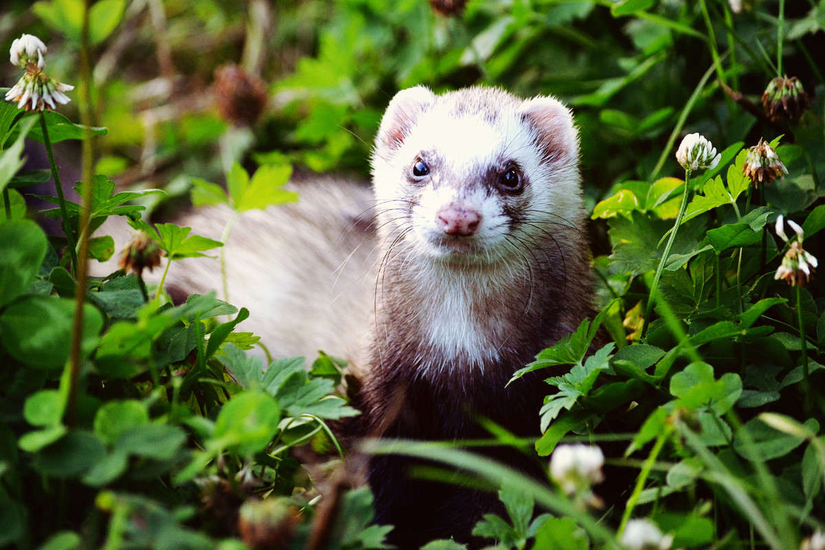 ... ����� �����  �� PhotoGeek.ru #�������� ���