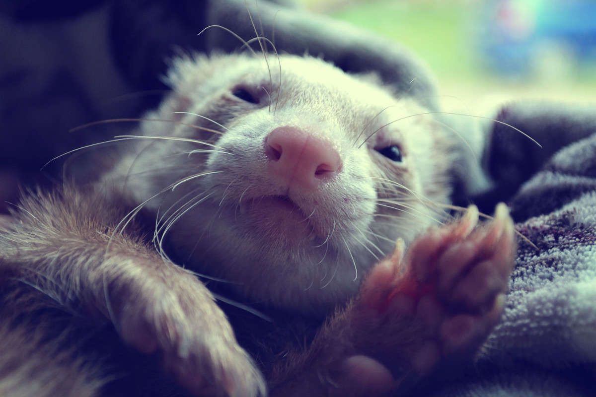 �����:) ����� �����  �� PhotoGeek.ru #�������� ��� #�������� ���