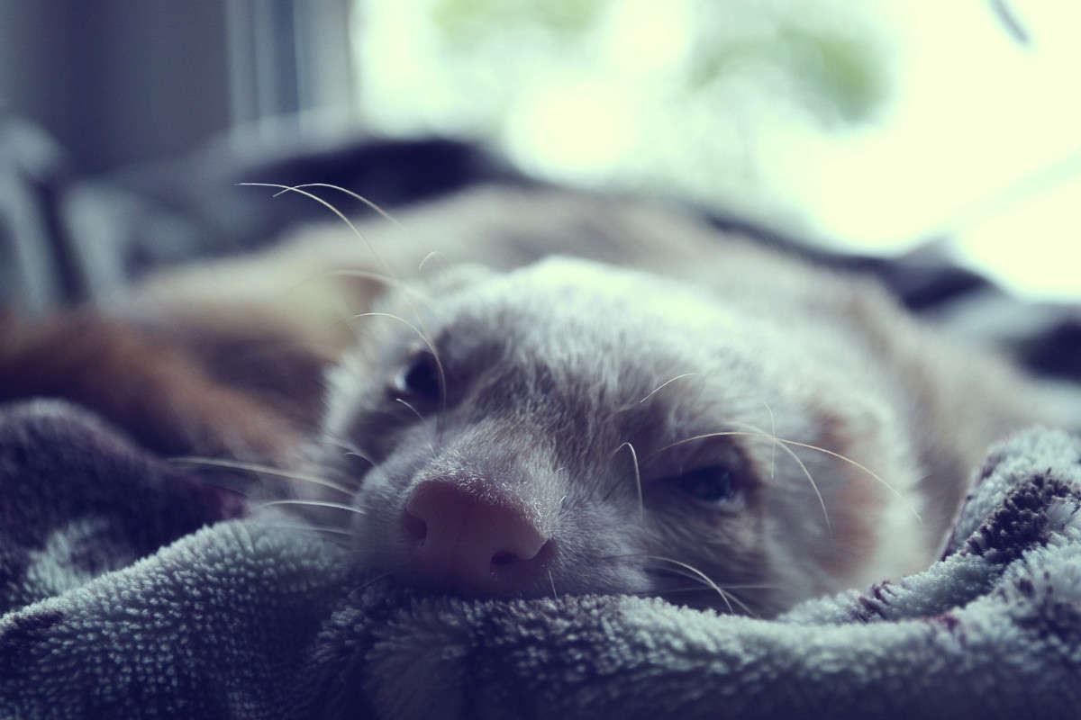 �����:) ����� �����  �� PhotoGeek.ru #�������� ��� #�������� ���